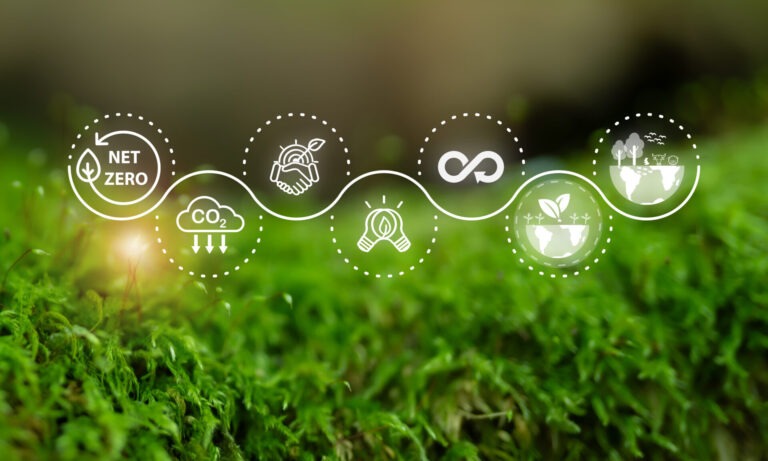 Case Study: Geförderter Transformationsplanfür ein mittelständisches Produktionsunternehmen